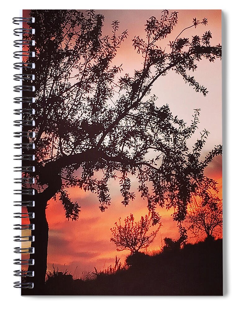 Colette Spiral Notebook featuring the photograph Beautiful evening in Spain by Colette V Hera Guggenheim