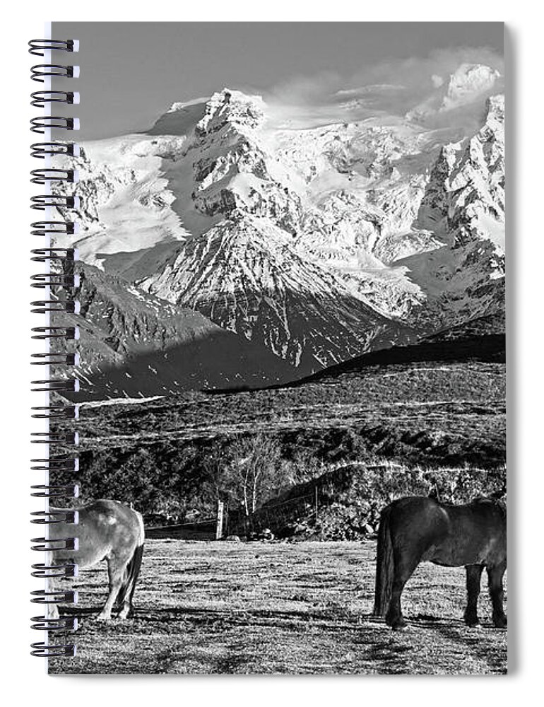 Iceland Spiral Notebook featuring the photograph Beautiful Icelandic Horses in front of a Snow Covered Mountain Iceland Black and White by Toby McGuire
