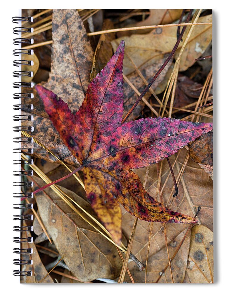 Leaf Spiral Notebook featuring the photograph Beautiful Leaf Litter by Kathy Clark