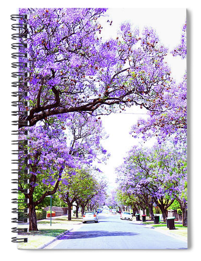 Jacaranda Spiral Notebook featuring the photograph Beautiful purple flower Jacaranda tree lined street in full bloom. by Milleflore Images