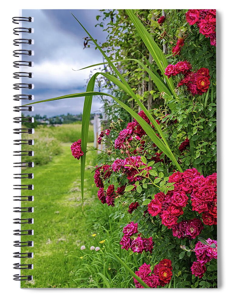 Alex Lyubar Spiral Notebook featuring the photograph Beautiful Spring Flowers by Alex Lyubar