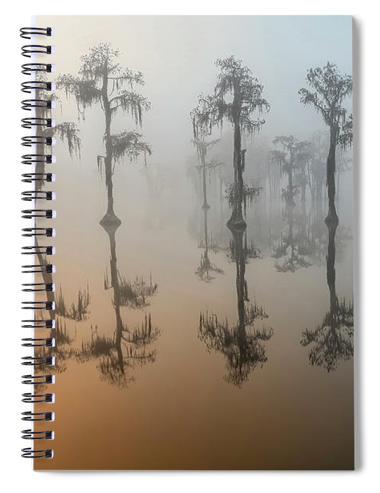 Fog Spiral Notebook featuring the photograph Beauty In The Fog 2 by DB Hayes