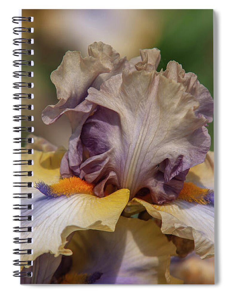 Jenny Rainbow Fine Art Photography Spiral Notebook featuring the photograph Beauty Of Irises. Karibik 8 by Jenny Rainbow