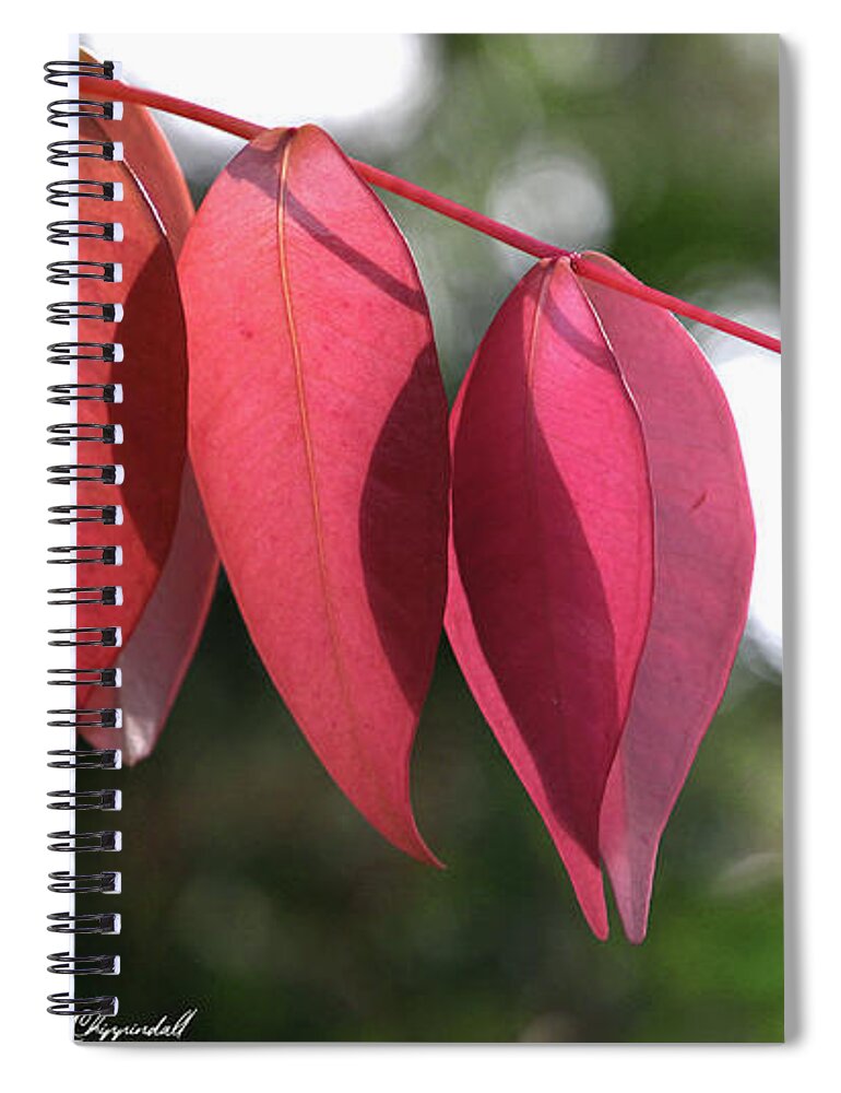 Nature Photography Spiral Notebook featuring the digital art Beauty of nature 161 by Kevin Chippindall