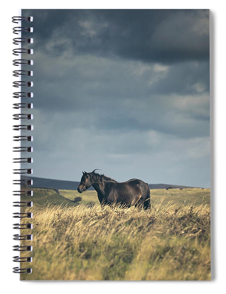Photographs Spiral Notebook featuring the photograph Beauty of Solitude by Lisa Saint