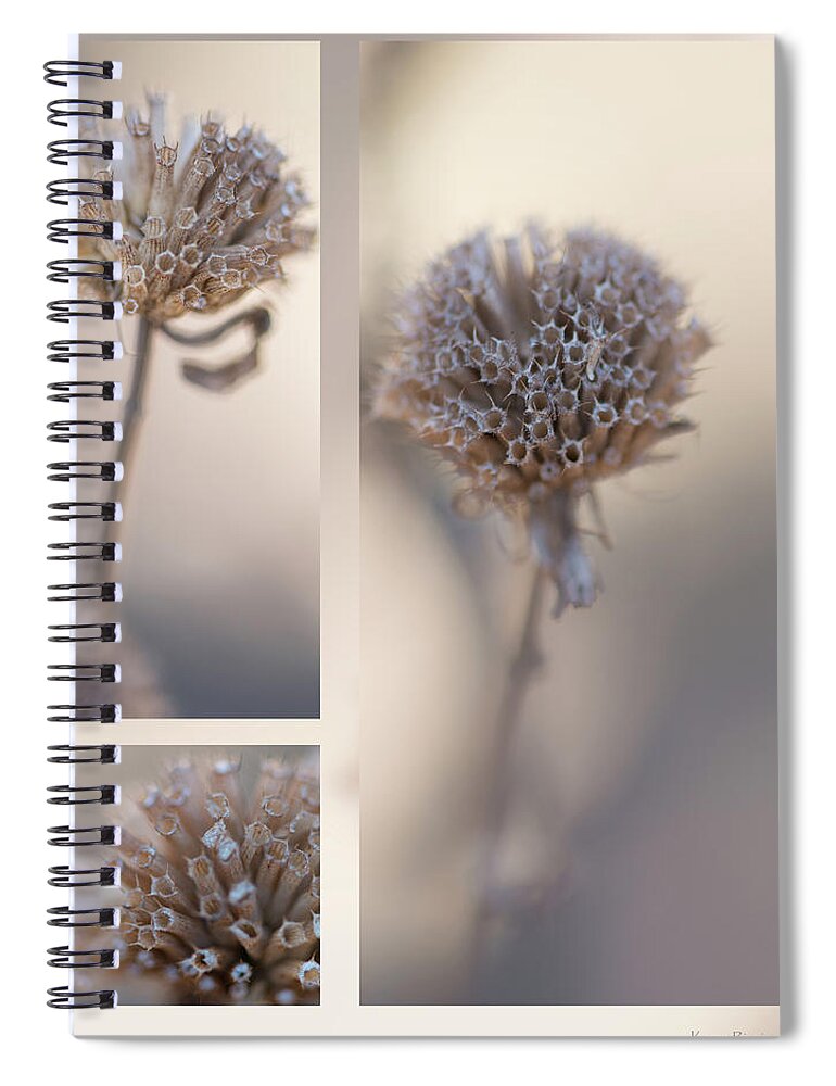 Taupe Spiral Notebook featuring the photograph Bee Balm by Karen Rispin