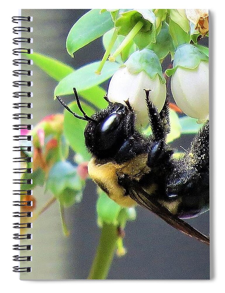 Bees Spiral Notebook featuring the photograph Bee Collecting Pollen  by Linda Stern