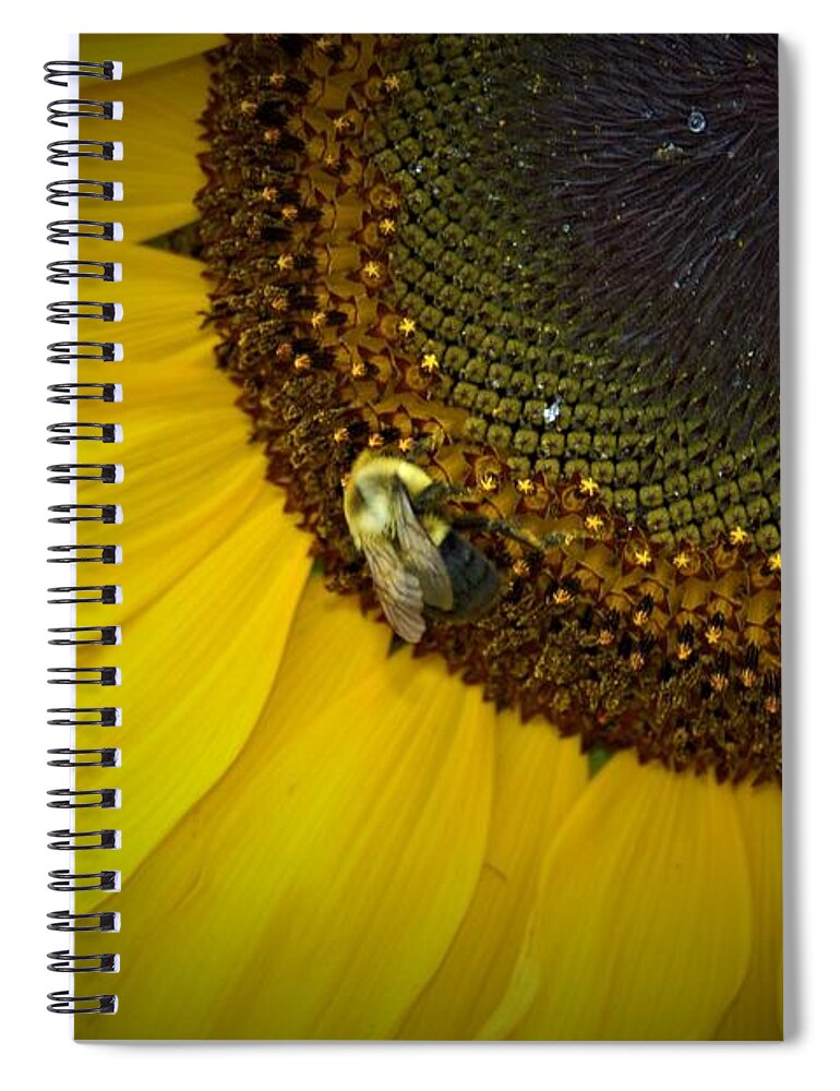 Orange Spiral Notebook featuring the photograph Bee on Sunflower 9 by James Cousineau