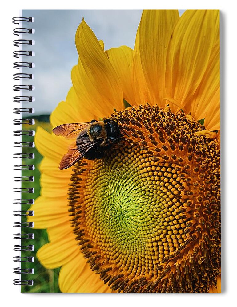 Bee Spiral Notebook featuring the photograph Bee on Sunflower by Rick Nelson