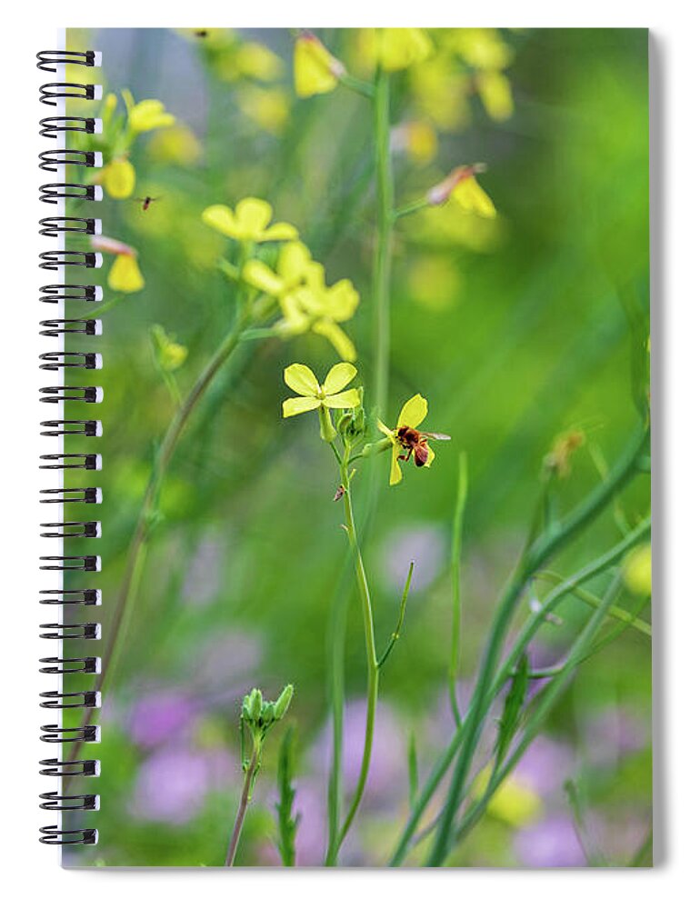 Flower Spiral Notebook featuring the photograph Bee on the Wild Flowers by Amelia Pearn