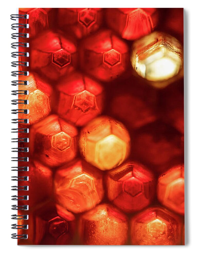 Honeycomb Spiral Notebook featuring the photograph Beekeeping by Amelia Pearn