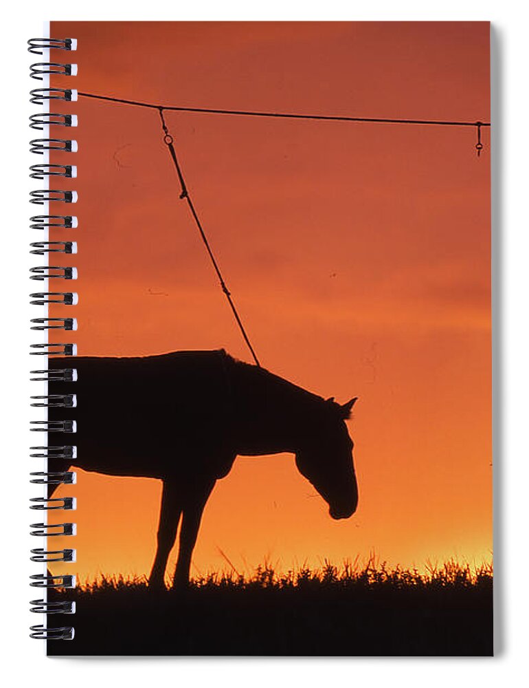 Before Evening Of Horse Racing Spiral Notebook featuring the photograph Before evening of Horse racing by Elbegzaya Lkhagvasuren