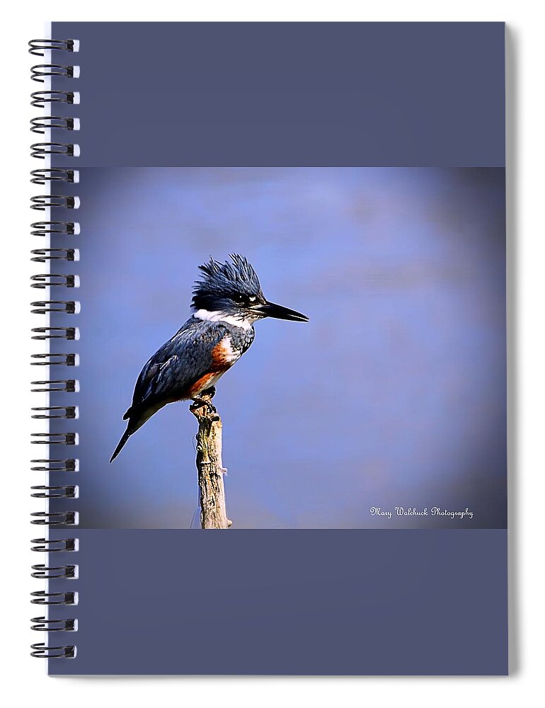 Birds Spiral Notebook featuring the photograph Belted Kingfisher by Mary Walchuck