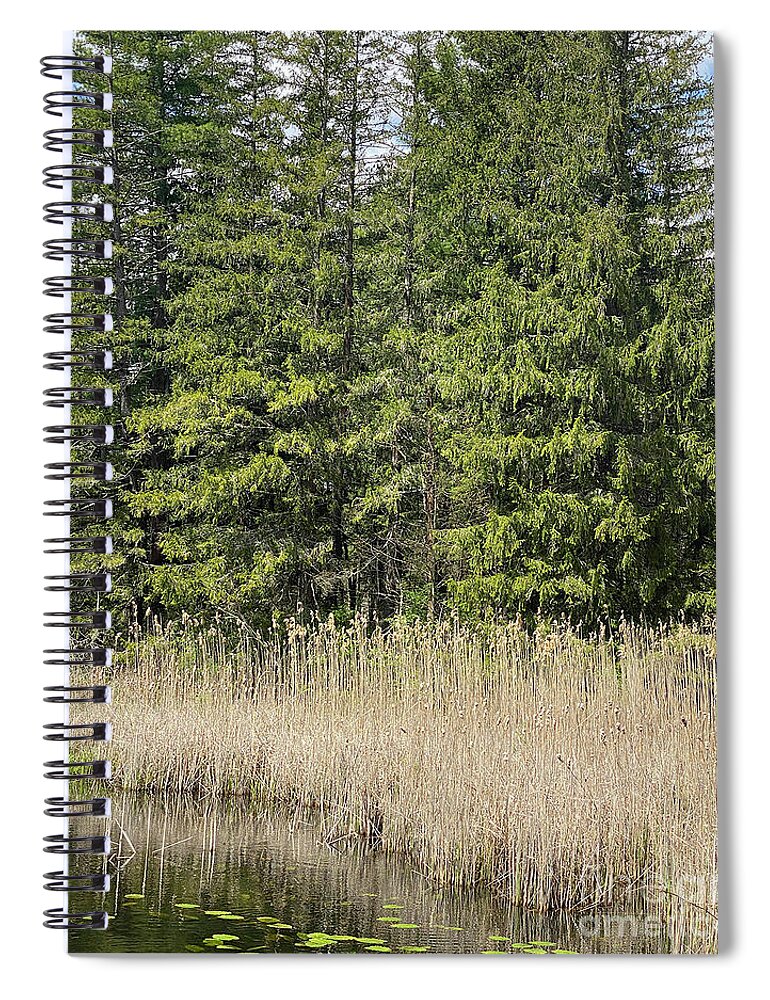 Berkshires Spiral Notebook featuring the photograph Berkshires Pond Grass by Shany Porras Art