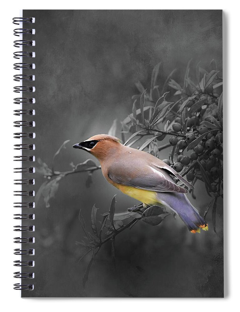 Backyard Birds Spiral Notebook featuring the photograph Berry Bandit by Jai Johnson