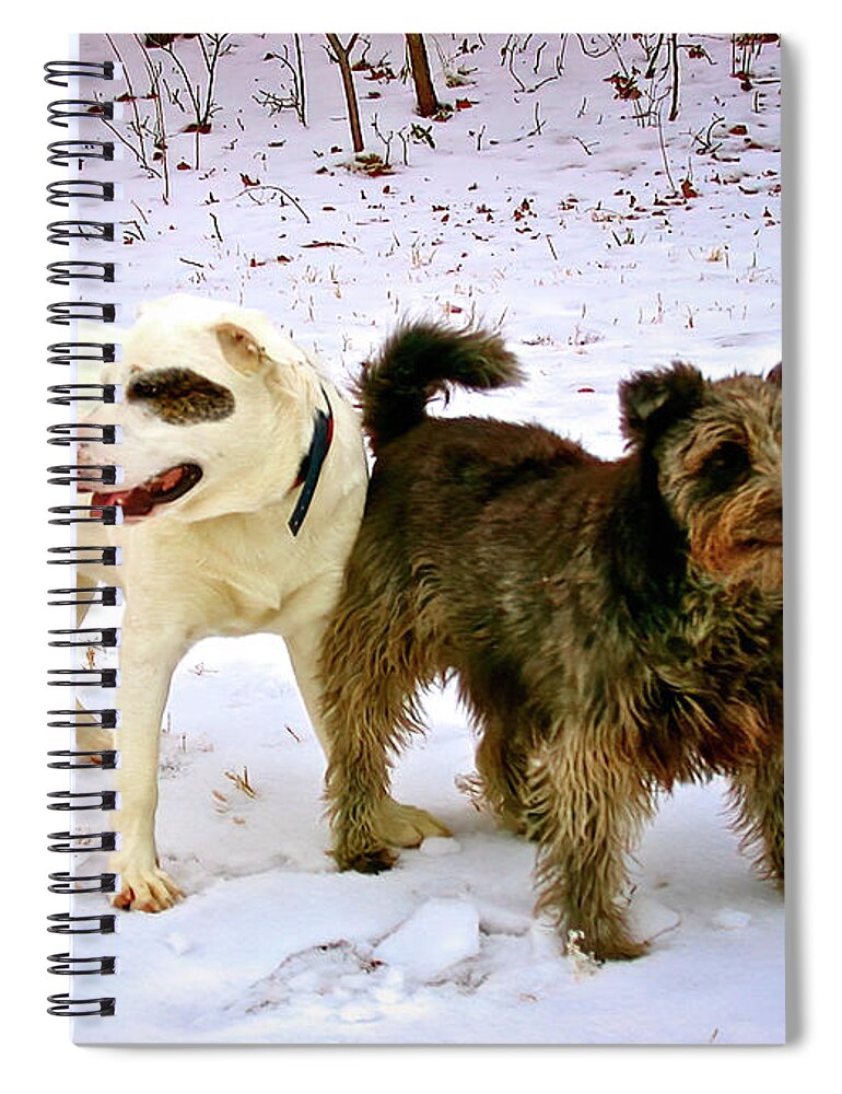 Best Buddies Spiral Notebook featuring the photograph Best Buddies South Carolina by Bellesouth Studio