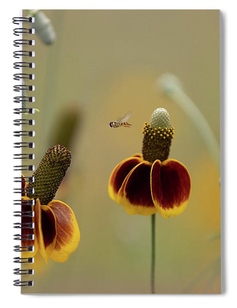 Insect Spiral Notebook featuring the photograph Between Flowers by Deon Grandon