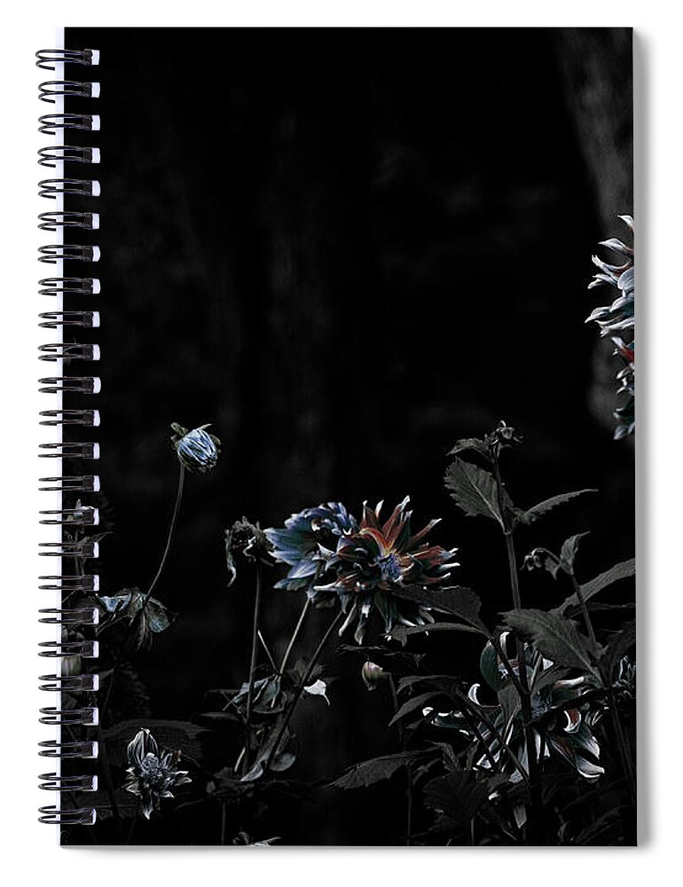 Dahlias Spiral Notebook featuring the photograph Beyond the Reasonable Doubt by Cynthia Dickinson
