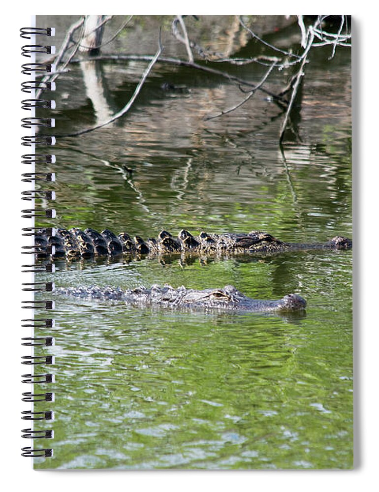 Susan Molnar Spiral Notebook featuring the photograph BFFs IV by Susan Molnar