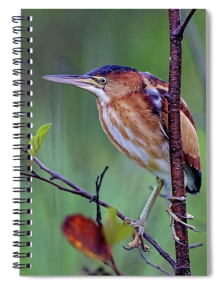 Bird Spiral Notebook featuring the photograph Big Toes by Tony Beck