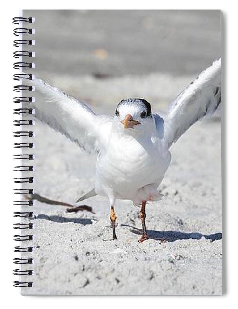  Spiral Notebook featuring the photograph Big Wingspan by Mingming Jiang