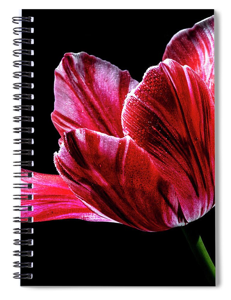 Red Spiral Notebook featuring the photograph Billowing by Doug Norkum