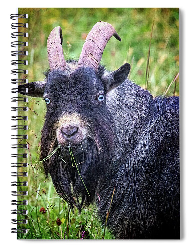 Billy Goat Spiral Notebook featuring the photograph Billy Goat Gruff by Jaki Miller