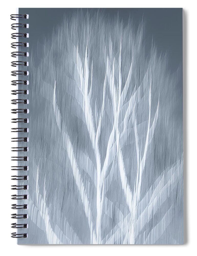 Birch Spiral Notebook featuring the photograph Birch abstract by Brad Bellisle