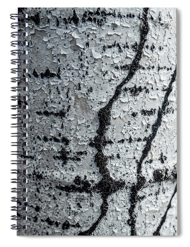 Bark Spiral Notebook featuring the photograph Birch Bark Abstract by Karen Rispin