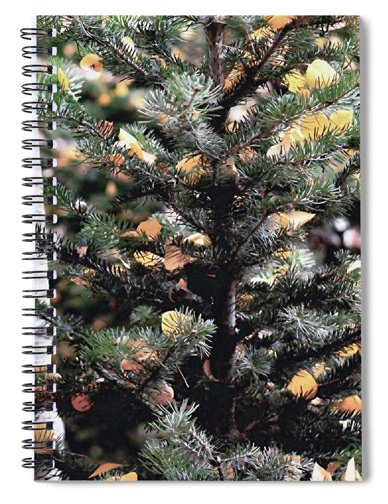 Forest Spiral Notebook featuring the digital art Birch in a Forest by Norman Brule