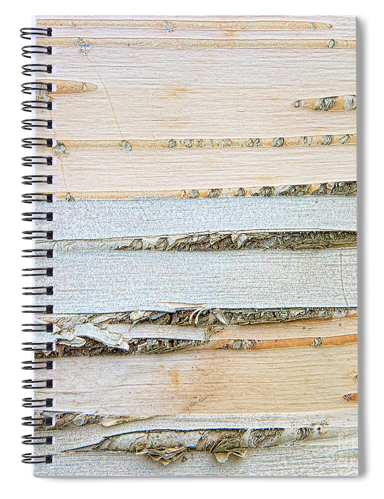 Abstracts Spiral Notebook featuring the photograph Birch Lines by Marilyn Cornwell
