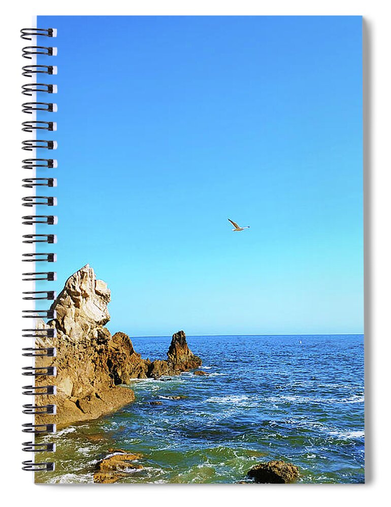Ocean Spiral Notebook featuring the photograph Bird in the Sky at the Beach by Marcus Jones