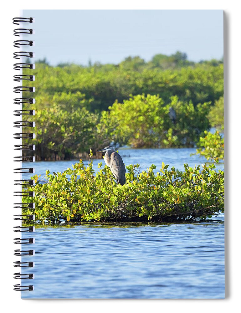 R5-2627 Spiral Notebook featuring the photograph Bird Island by Gordon Elwell