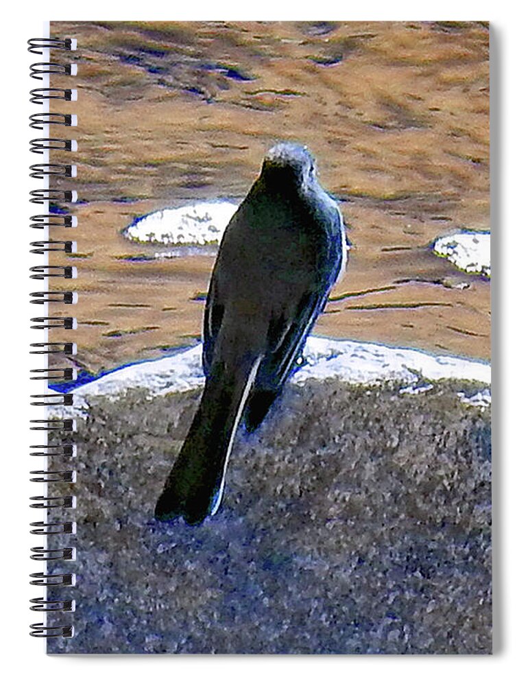 Bird Spiral Notebook featuring the photograph Bird On A Boulder by Andrew Lawrence