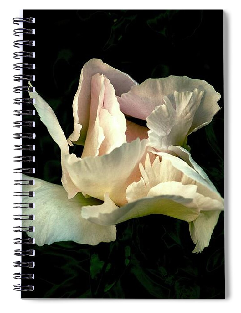 Flower Spiral Notebook featuring the photograph Flower Burst by Alida M Haslett