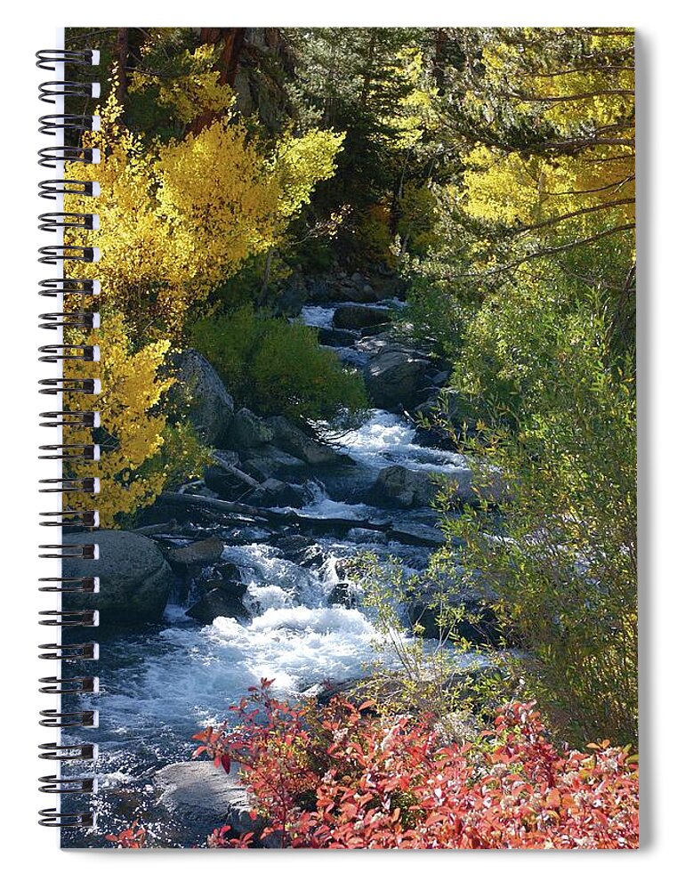 Bishop Creek Spiral Notebook featuring the photograph Fall Color and Sun Rays on Bishop Creek by Bonnie Colgan