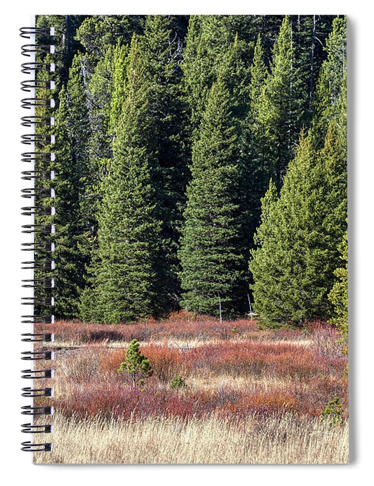 Yellowstone Spiral Notebook featuring the photograph Bison In Meadow by Paul Freidlund