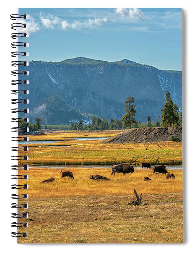 Yellowstone Spiral Notebook featuring the photograph Bison Roaming Madison River in Yellowstone by Kenneth Everett