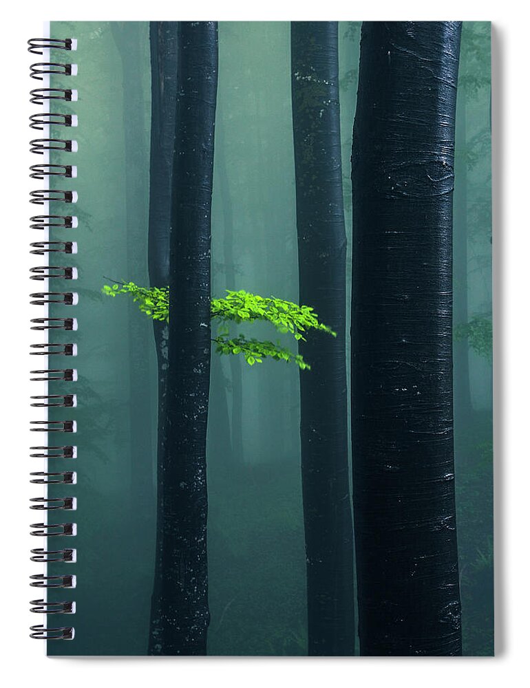 Mountain Spiral Notebook featuring the photograph Bit Of Green by Evgeni Dinev