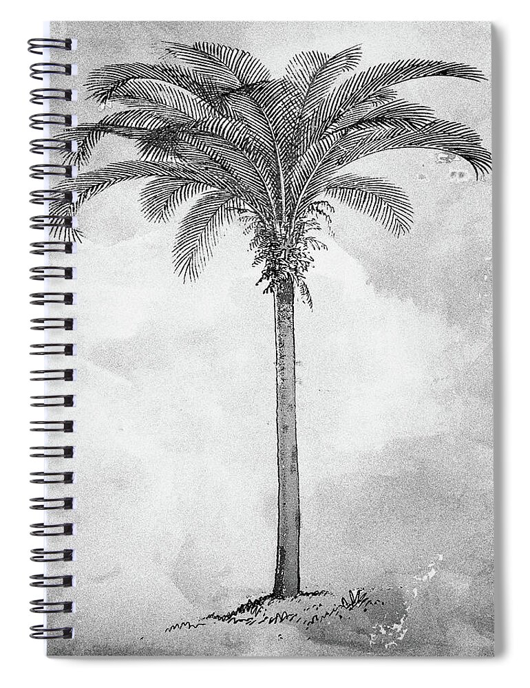 Black Palm Spiral Notebook featuring the digital art Painted Black Palm by Kandy Hurley