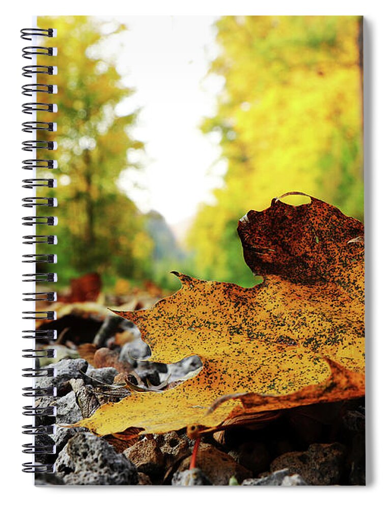Acer Spiral Notebook featuring the photograph Black spotted yellow marple leaf on gravel road which surrounded forest, which playing many colors. Pinch of autumn in semptember by Vaclav Sonnek