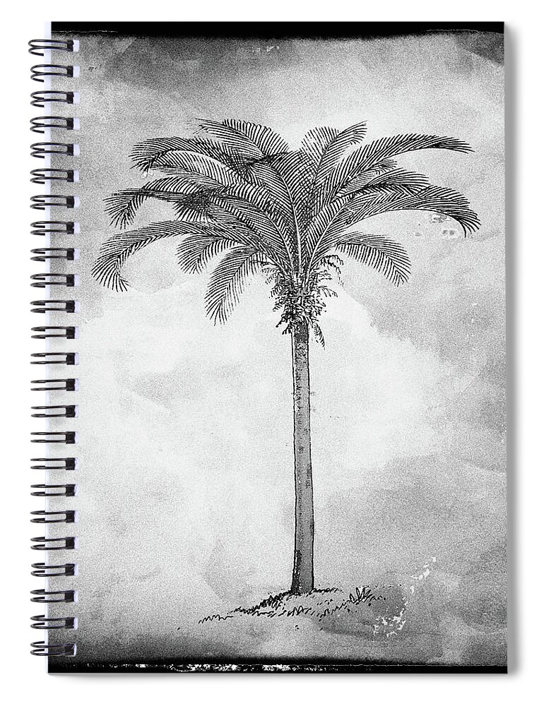 Black Palm Square Spiral Notebook featuring the digital art Painted Black Palm Square by Kandy Hurley