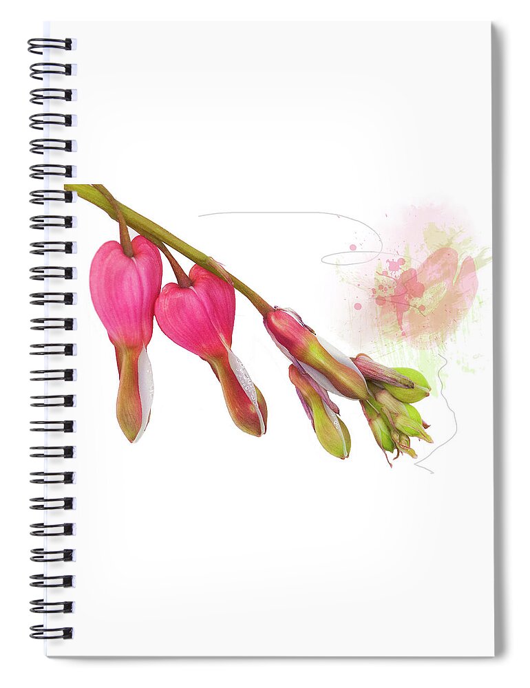 Heart Spiral Notebook featuring the mixed media Bleeding Heart by Moira Law