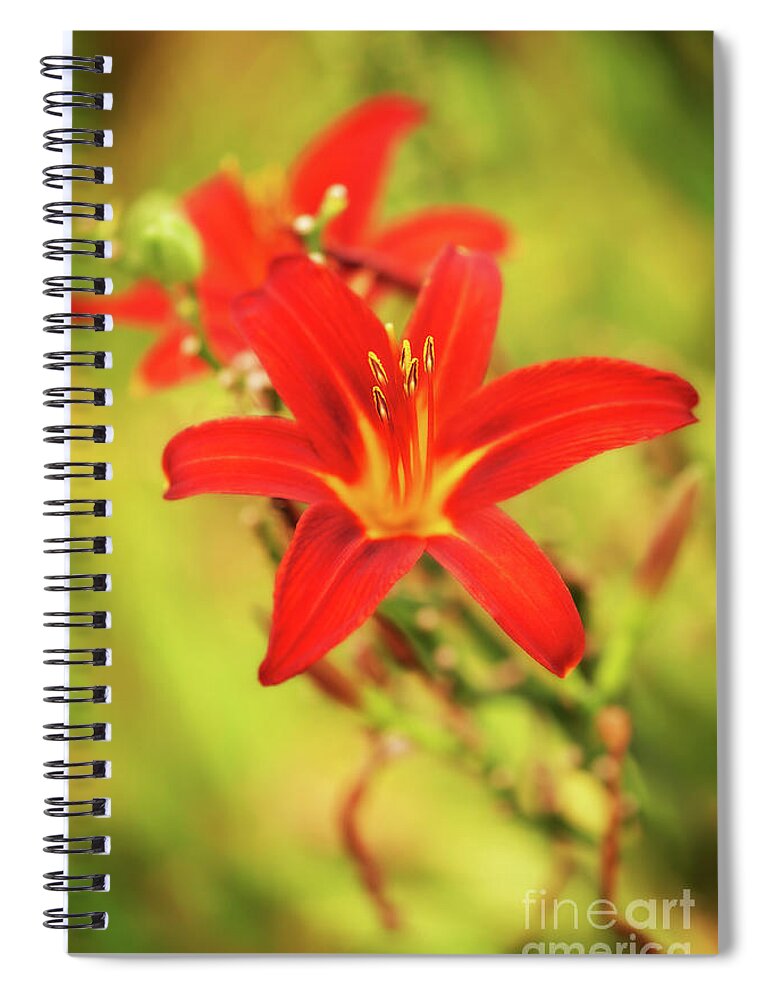 Botanical Spiral Notebook featuring the photograph Bloomin' Beauty by Venetta Archer