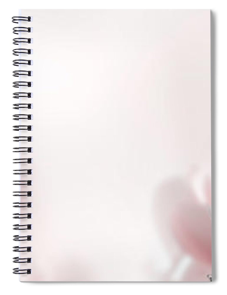 Magnolia Spiral Notebook featuring the photograph Blooming pink magnolia tree by Jelena Jovanovic