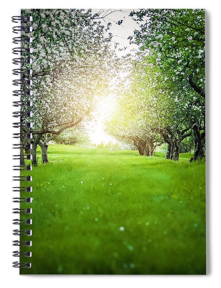  Spiral Notebook featuring the photograph Blossum Heaven by Nicole Engstrom