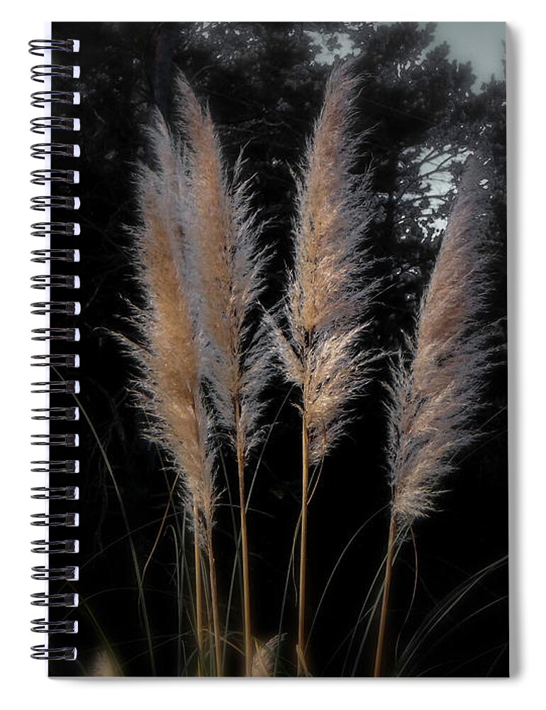 Grass Spiral Notebook featuring the photograph Blowing in the Wind by Judy Hall-Folde