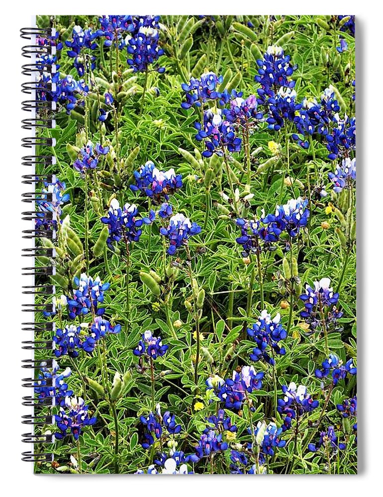 Blue Bonnets Spiral Notebook featuring the photograph Blue Bonnets by Jerry Connally