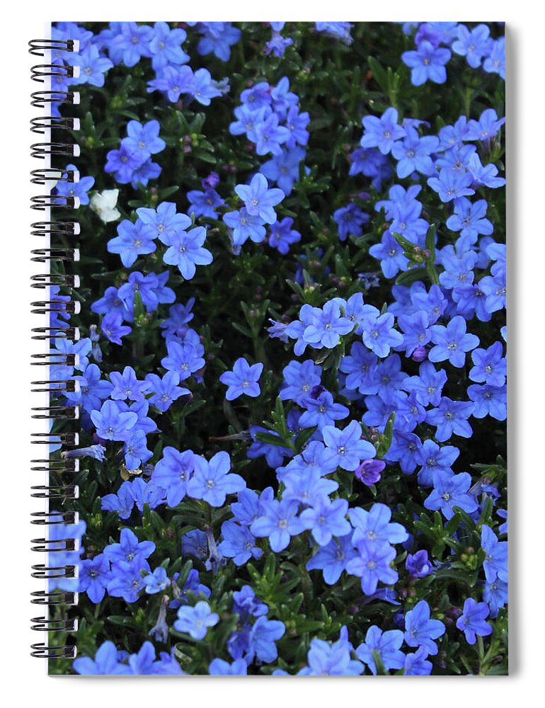 Flowers Spiral Notebook featuring the photograph Blue Fields by Richard Wetterauer