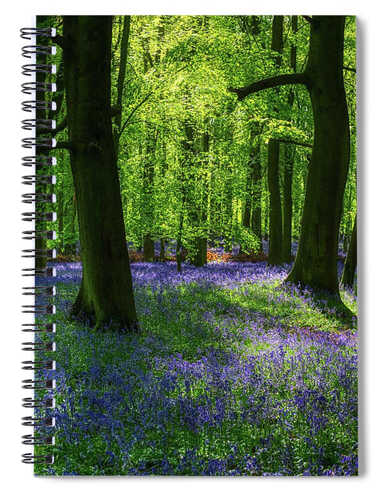 Landscape Spiral Notebook featuring the photograph Blue forest 6 by Remigiusz MARCZAK
